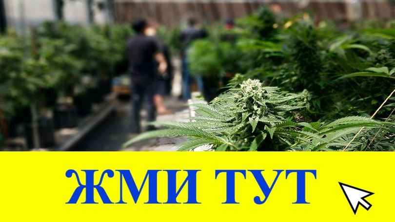 Купить наркотики в Долинске